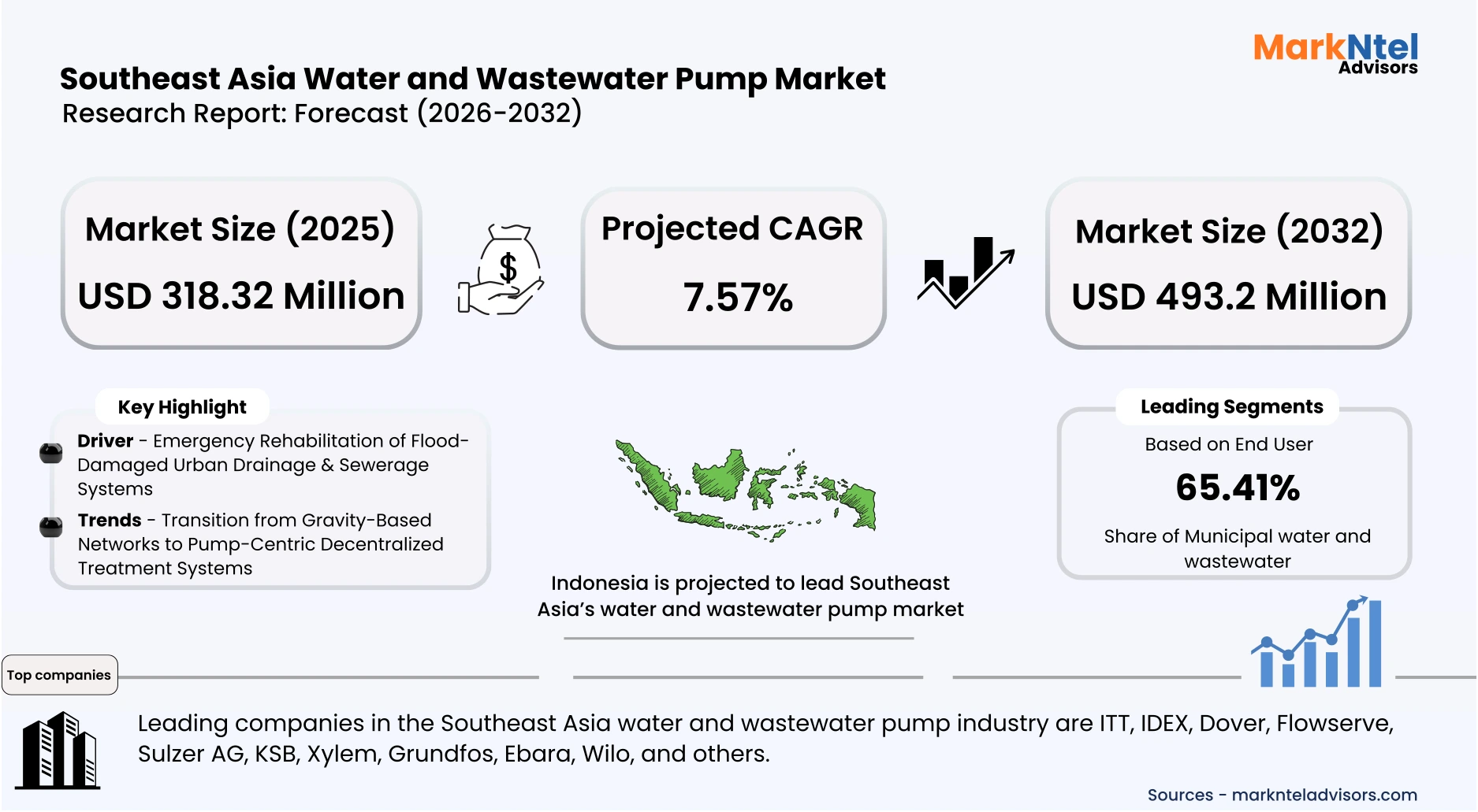 Southeast Asia water pump market analysis